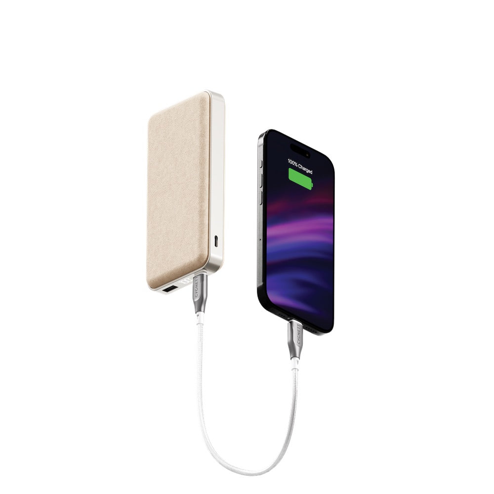 Cygnett ChargePro 20K mAh Power Bank - Champagne