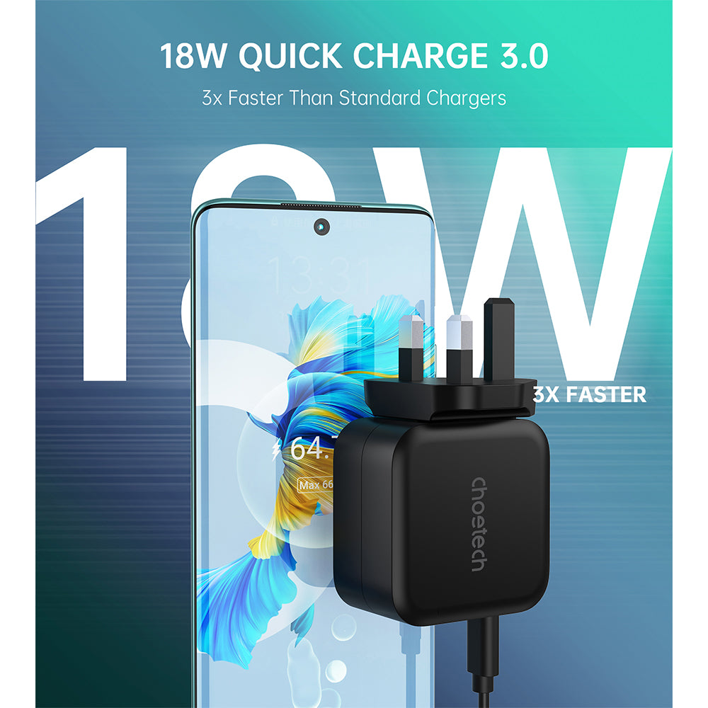 Choetech PD38W GaN USB A+C wall charger with C to C cable (black)