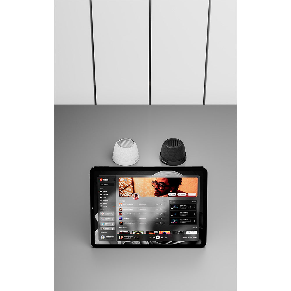 DEVIA Sound Lite4 Wireless Speaker EM508 - Gray