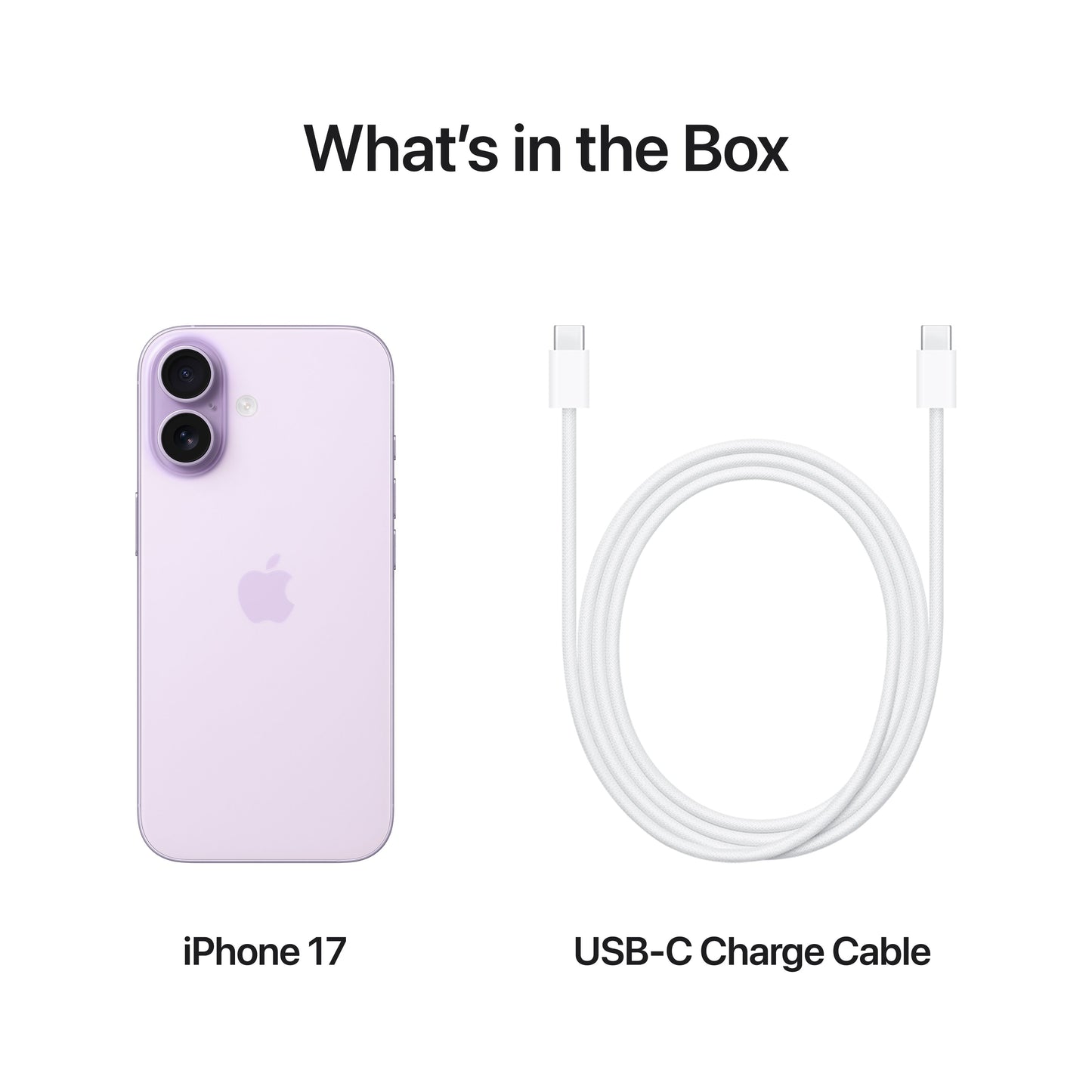 iPhone_17_Lavender_PDP_Image_Position_8_USB-C_Charge_Cable__SG-EN