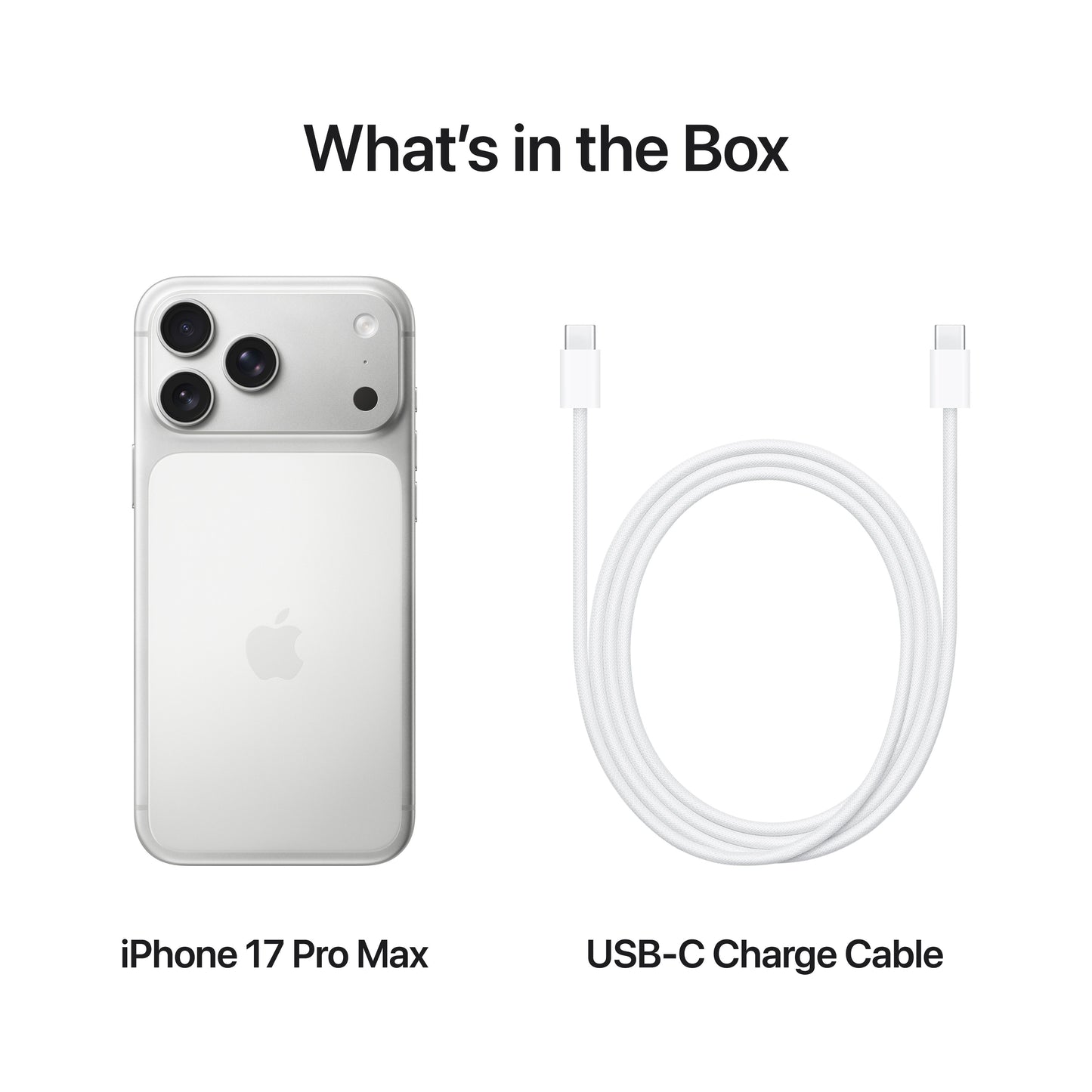 iPhone_17_Pro_Max_Silver_PDP_Image_Position_8_USB-C_Charge_Cable__SG-EN