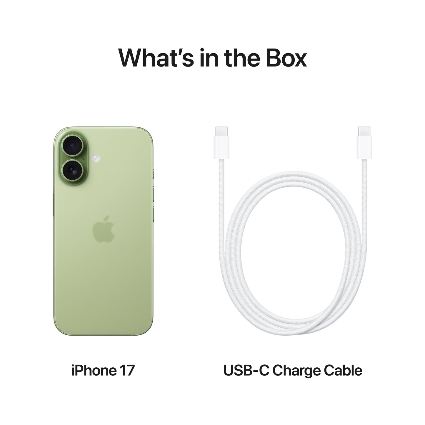 iPhone_17_Sage_PDP_Image_Position_8_USB-C_Charge_Cable__SG-EN