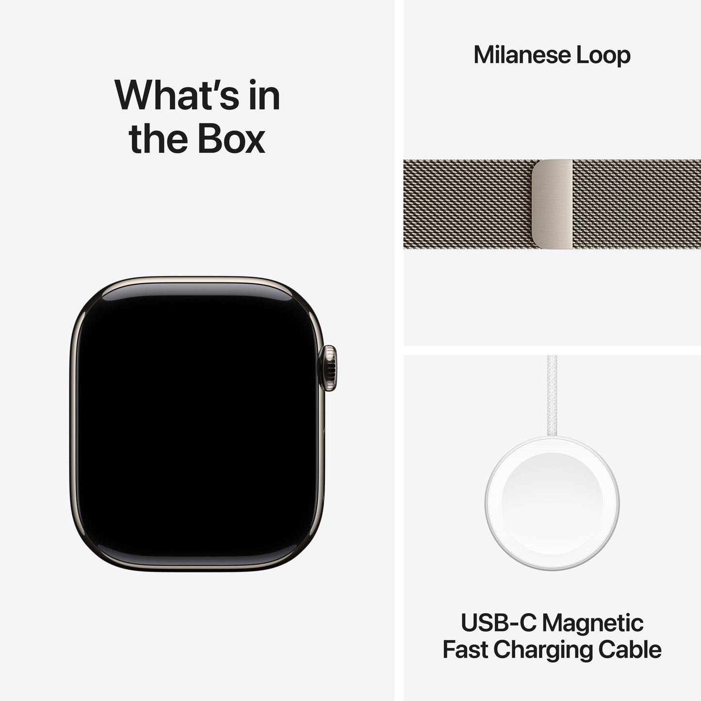 Apple_Watch_Series_11_46mm_LTE_Natural_Titanium_Milanese_Loop_Natural_PDP_Image_Position_9__SG-EN