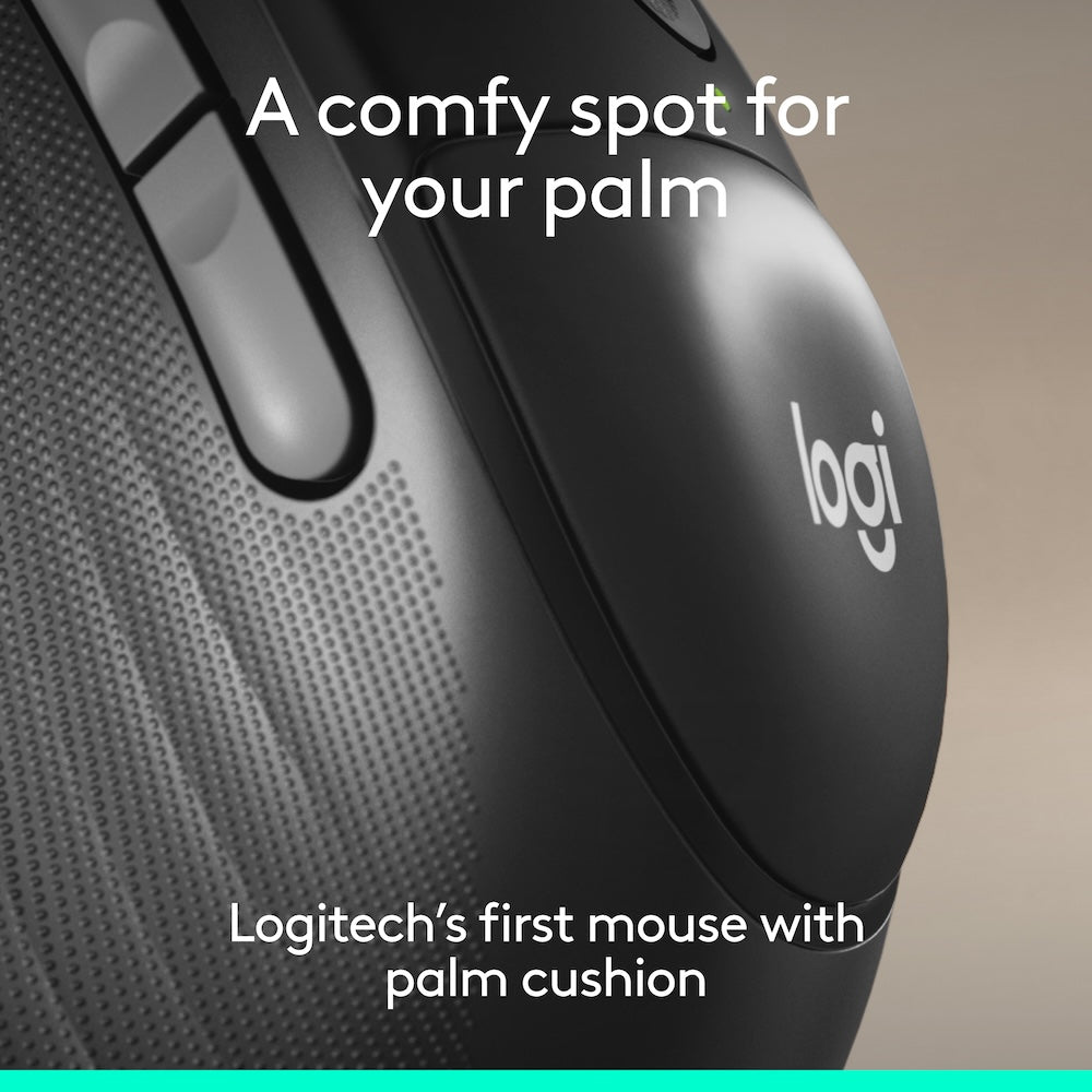 Logitech Signature Comfort Plus M850 L - Graphite