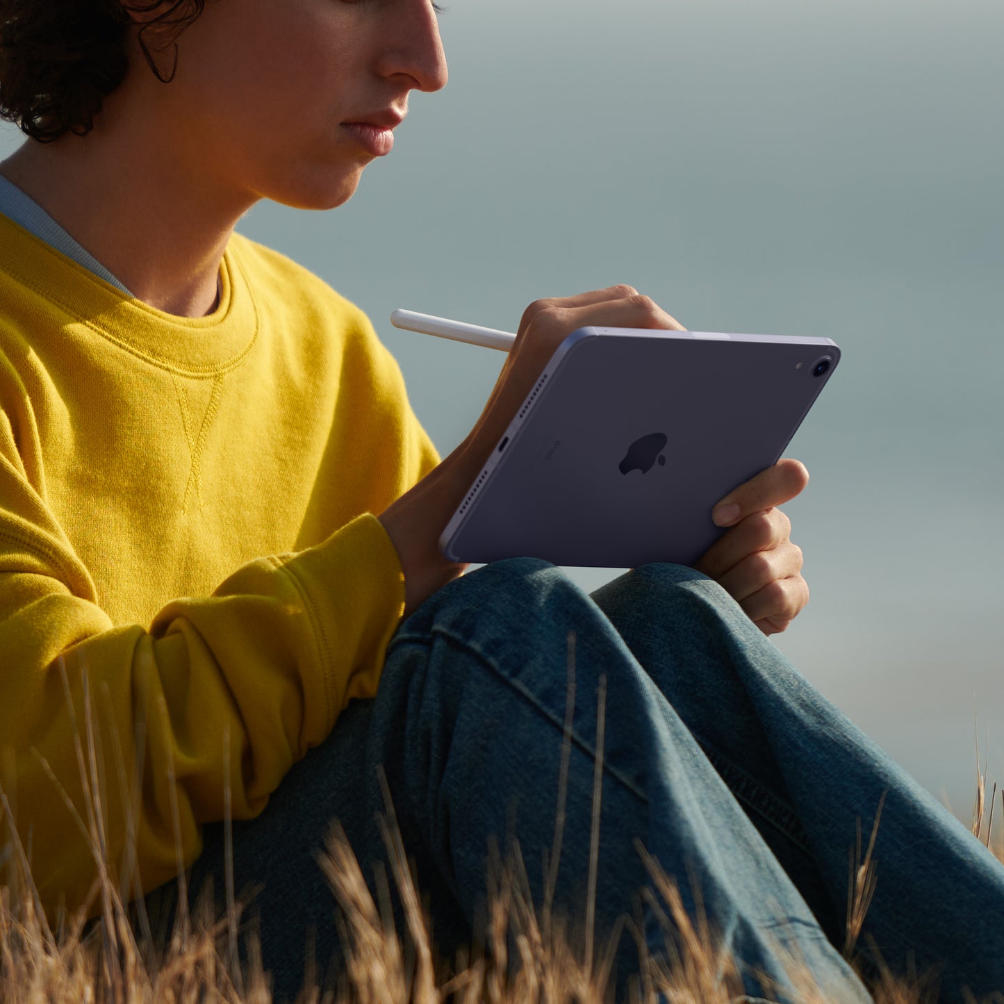Apple iPad mini (6th Gen) Wi-Fi + Cellular 64GB Space Grey