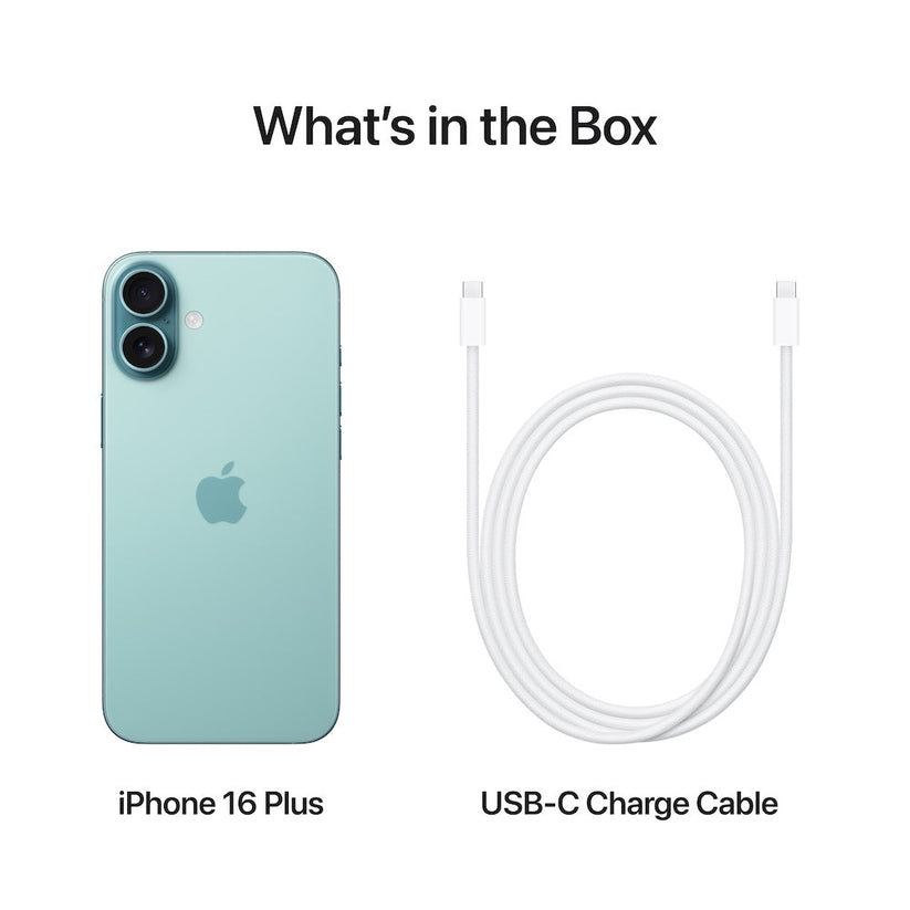 iPhone 16 Plus Teal Colour